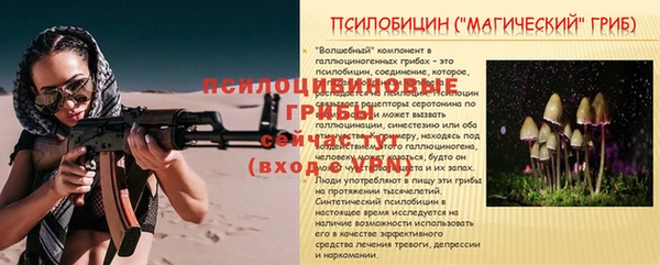 бутират Инсар