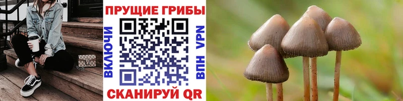Галлюциногенные грибы Magic Shrooms  Купить  Змеиногорск 